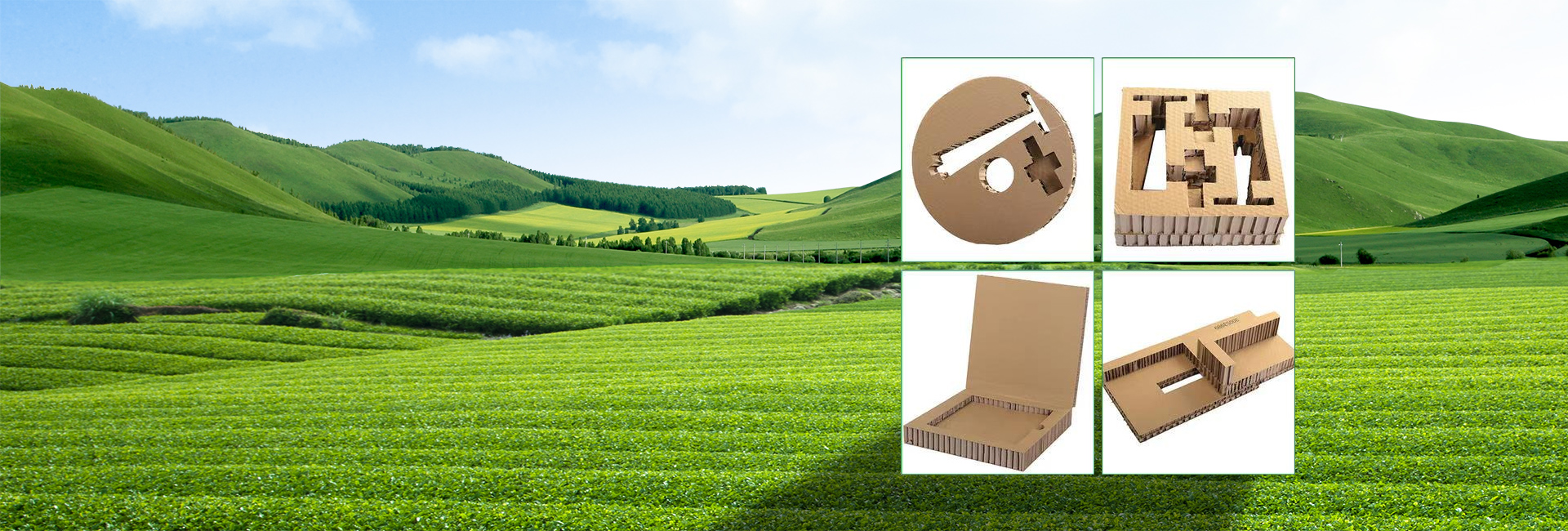 優(yōu)質選材，設計美觀大方